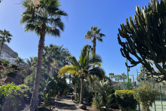 Playa Taurito Mogan, Gran Canaria 12