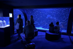 Poema del Mar Aquarium, Gran Canaria 118