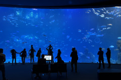 Poema del Mar Aquarium, Gran Canaria 127