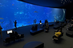 Poema del Mar Aquarium, Gran Canaria 131
