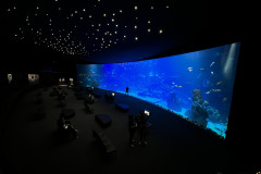 Poema del Mar Aquarium, Gran Canaria 136