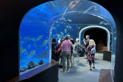 Poema del Mar Aquarium, Gran Canaria 147
