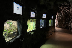 Poema del Mar Aquarium, Gran Canaria 24