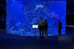 Poema del Mar Aquarium, Gran Canaria 87