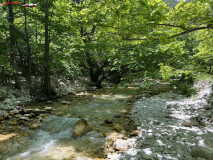 Pozar Baths, Grecia 81