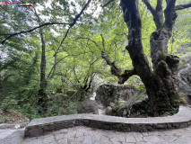 Pozar Baths, Grecia 93