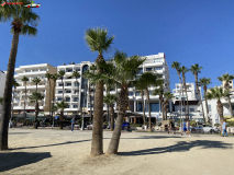 Promenada Finikoudes din Larnaca, Cipru 18