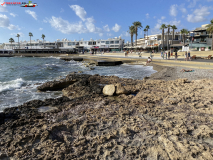 Promenada Paphos, Cipru 36