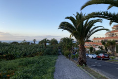 Puerto de la Cruz, Tenerife 46