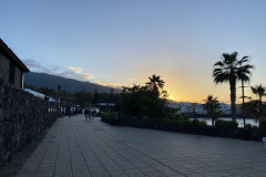 Puerto de la Cruz, Tenerife 52