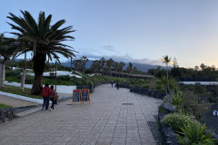 Puerto de la Cruz, Tenerife 62