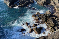 Punta Brava, Tenerife 11