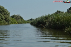 Rezervaţia Biosferei Delta Dunării Sulina 05