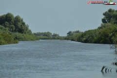 Rezervaţia Biosferei Delta Dunării Sulina 06
