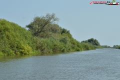 Rezervaţia Biosferei Delta Dunării Sulina 07