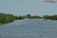 Rezervaţia Biosferei Delta Dunării Sulina 10