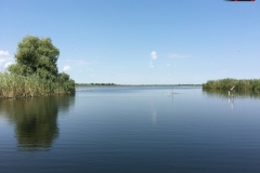 Rezervaţia Biosferei Delta Dunării Sulina 102