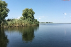 Rezervaţia Biosferei Delta Dunării Sulina 103