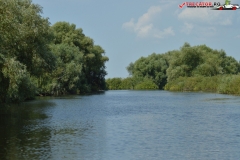 Rezervaţia Biosferei Delta Dunării Sulina 104