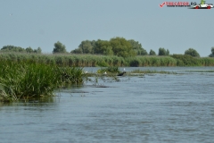 Rezervaţia Biosferei Delta Dunării Sulina 11