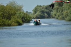 Rezervaţia Biosferei Delta Dunării Sulina 117