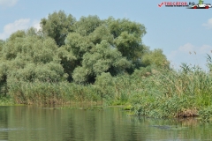 Rezervaţia Biosferei Delta Dunării Sulina 125