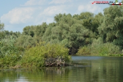 Rezervaţia Biosferei Delta Dunării Sulina 126
