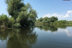 Rezervaţia Biosferei Delta Dunării Sulina 127