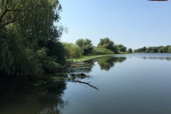 Rezervaţia Biosferei Delta Dunării Sulina 128