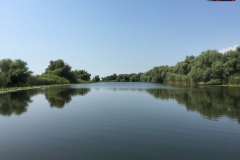 Rezervaţia Biosferei Delta Dunării Sulina 129