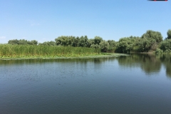 Rezervaţia Biosferei Delta Dunării Sulina 131