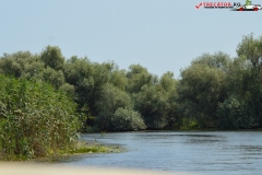 Rezervaţia Biosferei Delta Dunării Sulina 136