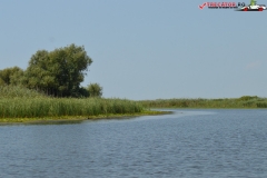 Rezervaţia Biosferei Delta Dunării Sulina 137