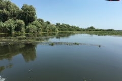 Rezervaţia Biosferei Delta Dunării Sulina 139