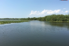 Rezervaţia Biosferei Delta Dunării Sulina 141