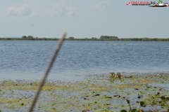 Rezervaţia Biosferei Delta Dunării Sulina 152