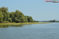 Rezervaţia Biosferei Delta Dunării Sulina 181