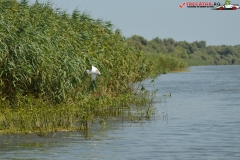 Rezervaţia Biosferei Delta Dunării Sulina 191