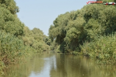 Rezervaţia Biosferei Delta Dunării Sulina 195