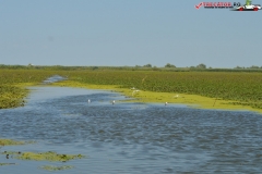 Rezervaţia Biosferei Delta Dunării Sulina 219