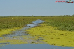 Rezervaţia Biosferei Delta Dunării Sulina 222