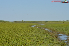 Rezervaţia Biosferei Delta Dunării Sulina 223