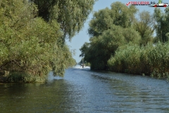 Rezervaţia Biosferei Delta Dunării Sulina 50