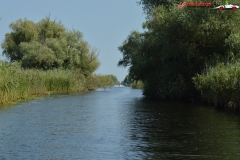 Rezervaţia Biosferei Delta Dunării Sulina 51