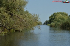 Rezervaţia Biosferei Delta Dunării Sulina 52