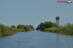 Rezervaţia Biosferei Delta Dunării Sulina 55