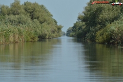Rezervaţia Biosferei Delta Dunării Sulina 63