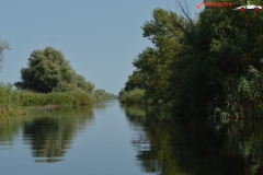 Rezervaţia Biosferei Delta Dunării Sulina 67