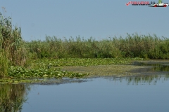 Rezervaţia Biosferei Delta Dunării Sulina 68