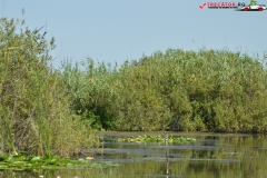 Rezervaţia Biosferei Delta Dunării Sulina 69